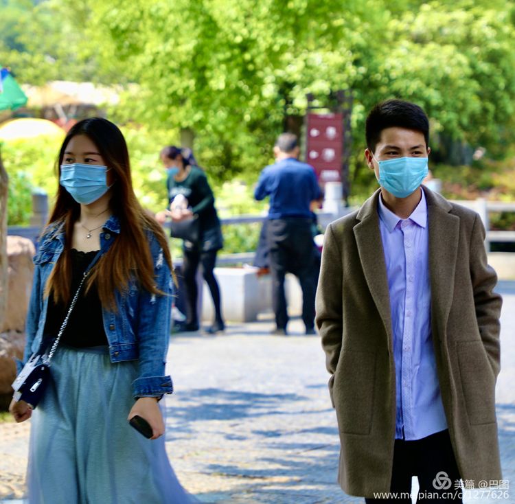 看洛阳牡丹花卉节,洛阳古都牡丹花展