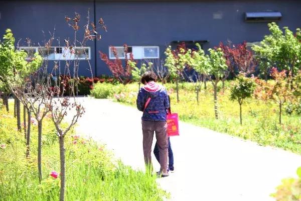 顺义城南体育中心室外场地开放,顺义南城体育馆怎么不开放