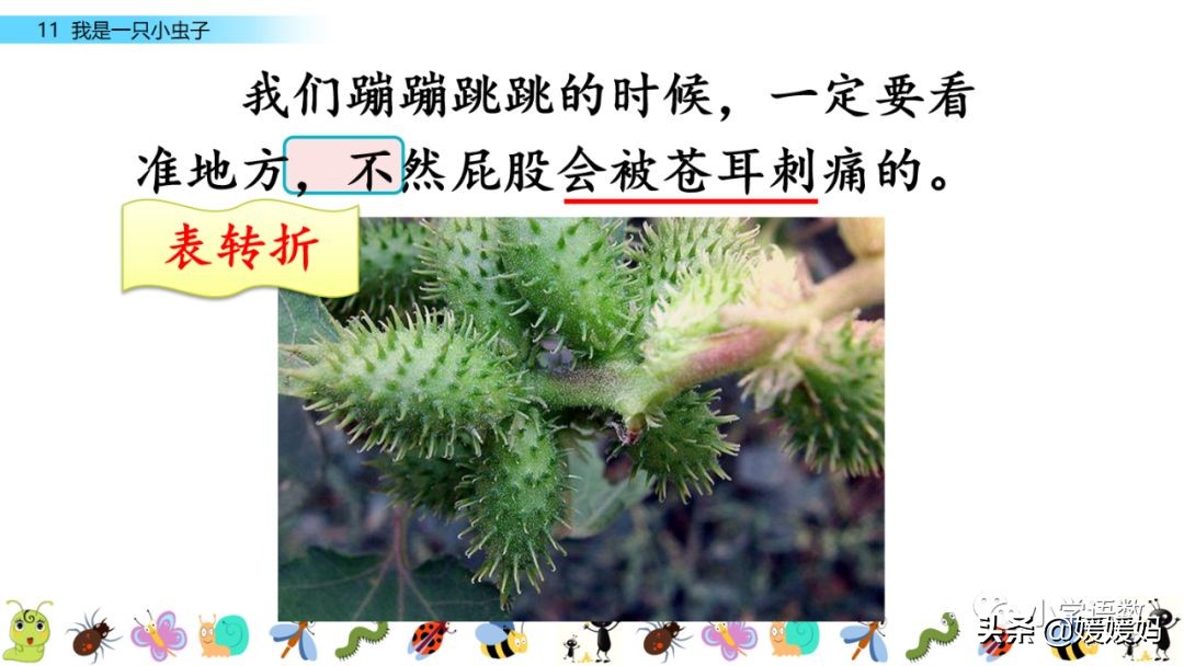 二年级下册我是一只小虫子课后题,二年级下册语文11我是一只小虫子