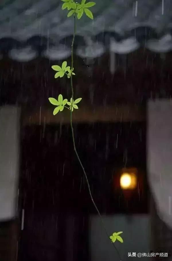 晨读|秋从何处来？