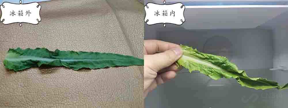 美的冰箱322升多少钱,美的532升对开门冰箱评测