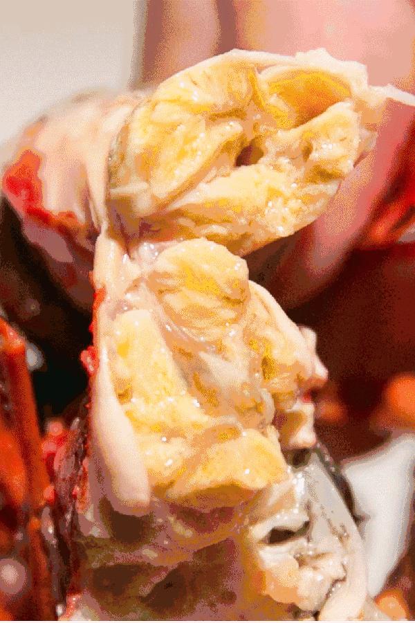 全新疆著名的特产,大新疆有啥特产