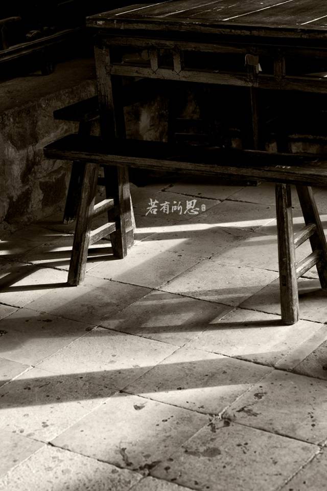 游走在沙家浜湿地公园,沙家浜风景区湿地渔乐园