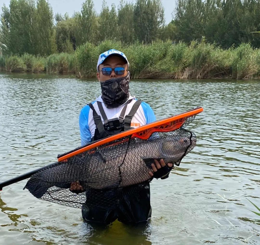 大物竿选购技巧,大物竿挑选