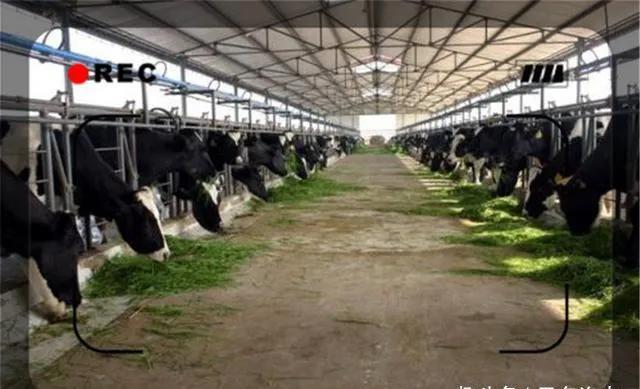 农村创业赚钱项目,分享三个适合农村创业赚钱小项目