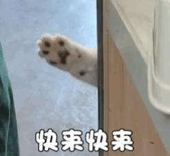 7个月宝宝米粉推荐测评,六月龄宝宝米粉测评