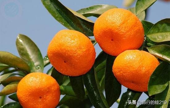 赣州江西最大城市,江西好吃的在哪个城市