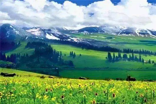 新疆摄影环线游之独库公路,独库游记