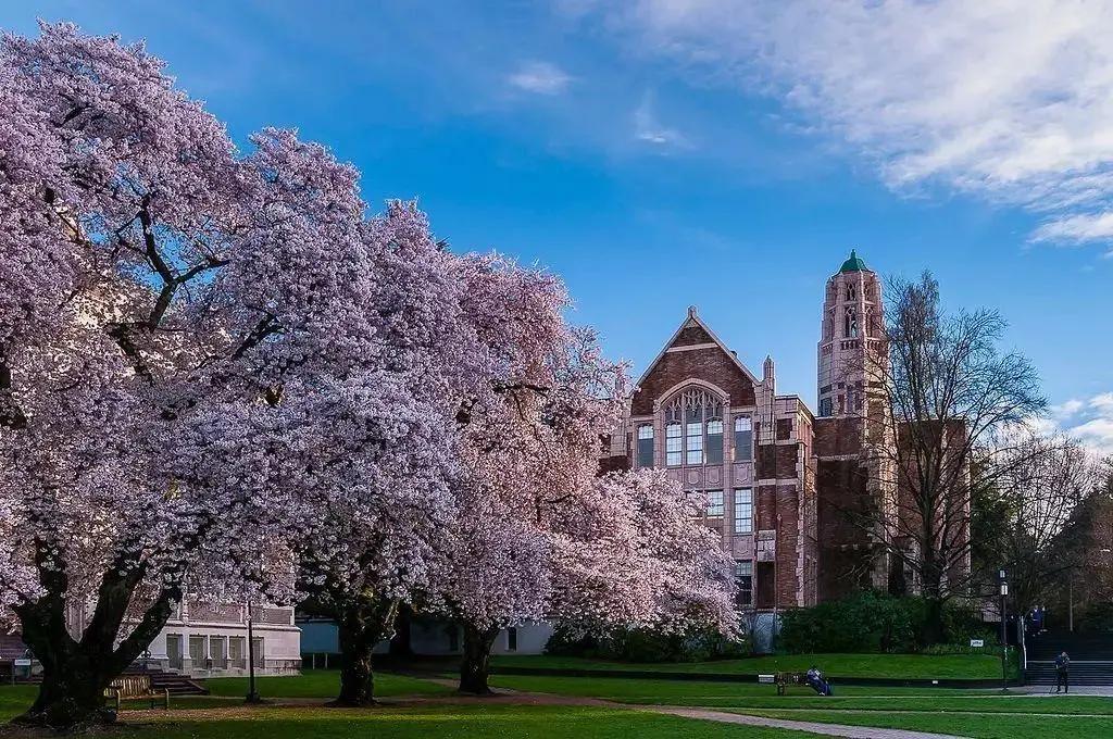 双非硕士工作几年申请国外硕士,双非申请日本英语授课研究生