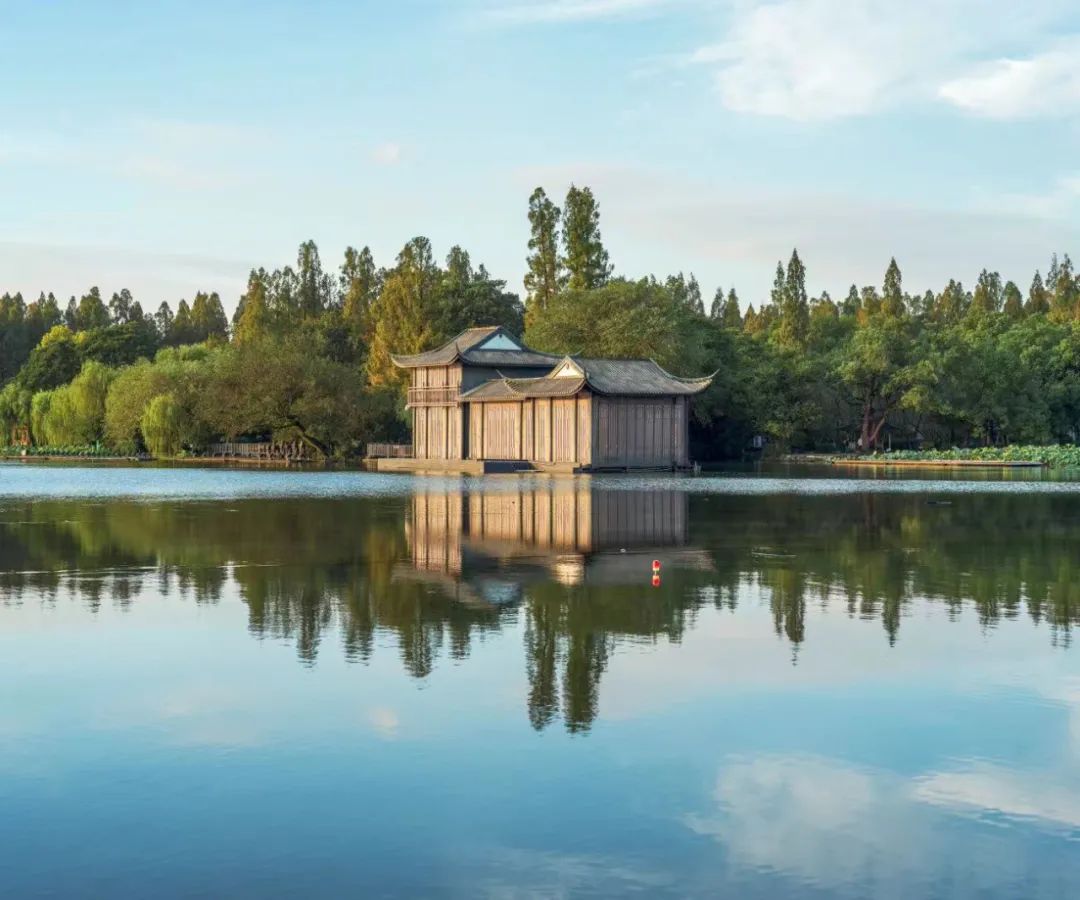 杭州的秋天随处可见都是美景,杭州西溪湿地美成调色盘