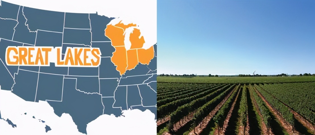 舌尖上的乡愁红酒,5个步骤教你正确品尝一款红酒