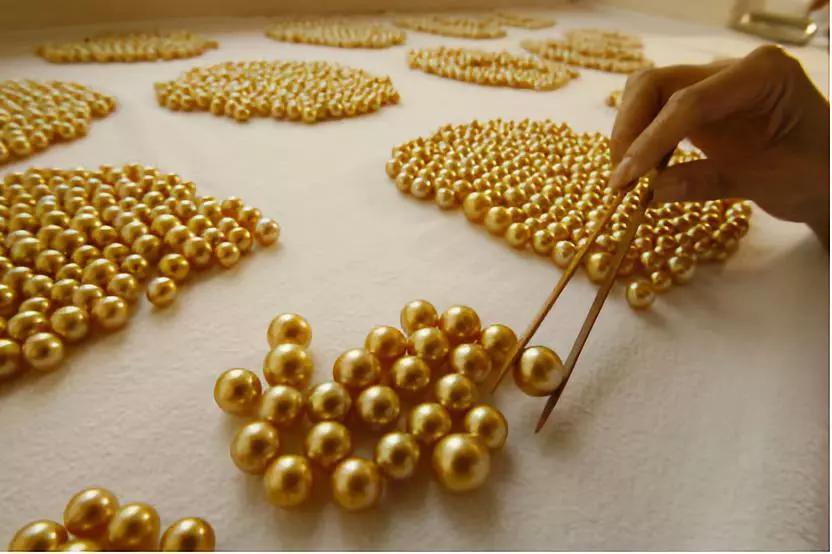 菲律宾旅游攻略最详细介绍,菲律宾游玩最全攻略