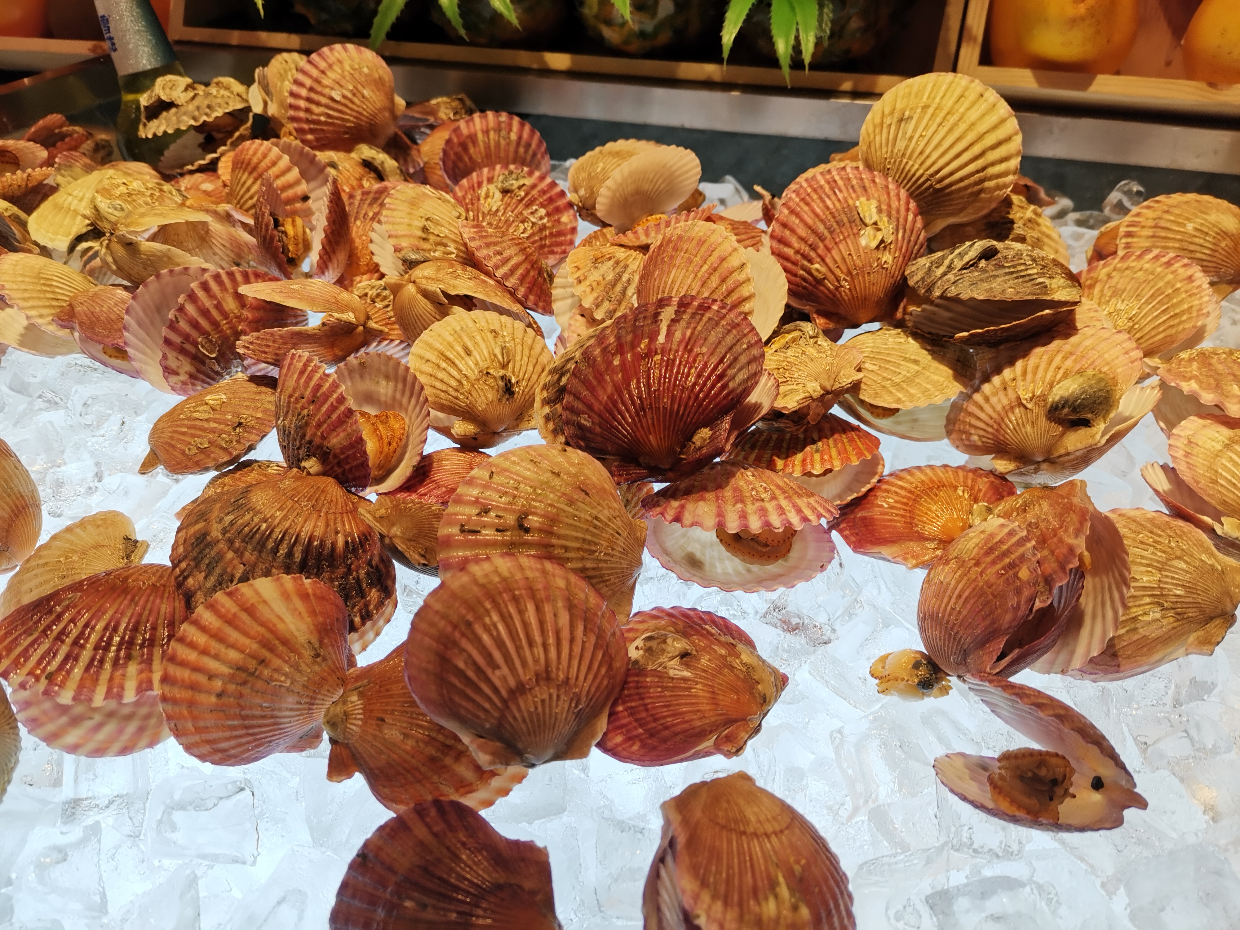 石家庄比亚森自助烤肉万达店,石家庄巴西烤肉自助餐