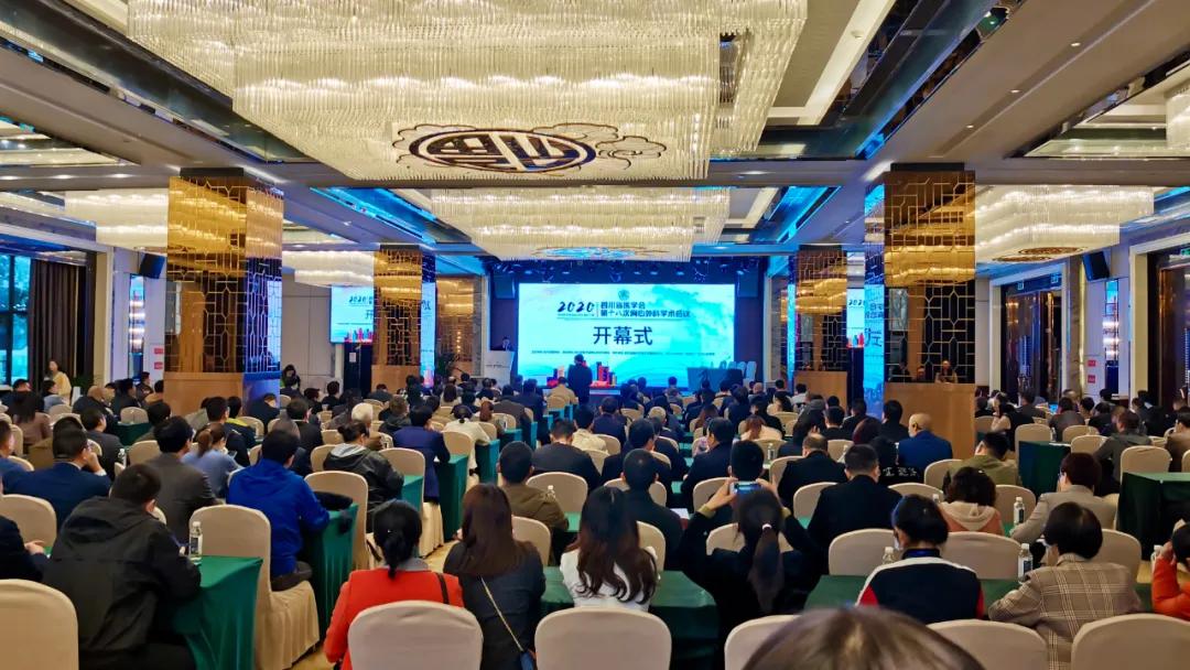 赛诺首次亮相,鲁蜀苏赛诺微新品