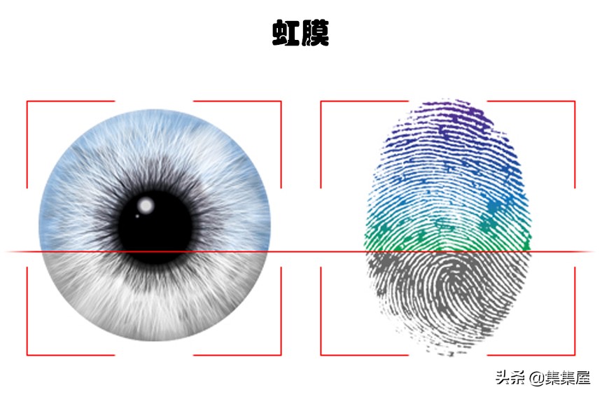 除了指纹还有什么是独一无二的,人类有独一无二的指纹吗