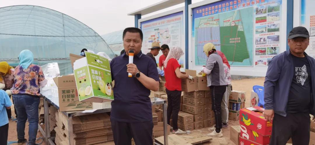 黑柳子白梨脆甜瓜直播,黑柳白梨脆