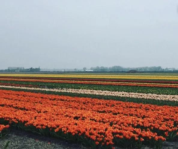 这15座花园勾勒最美的人间