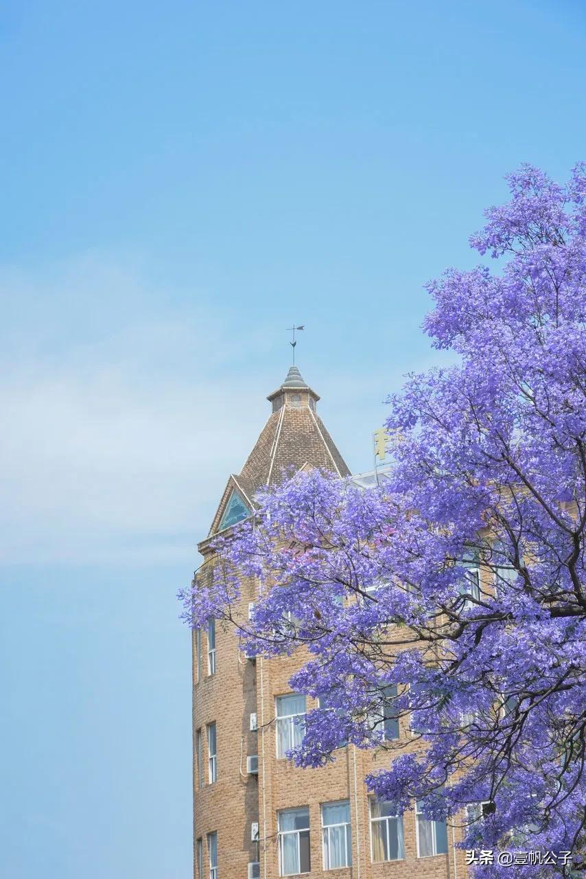 被大理的美景所折服,被丽江的风景美到了