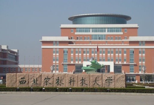 国内十大考研名校,十大考研难的学校