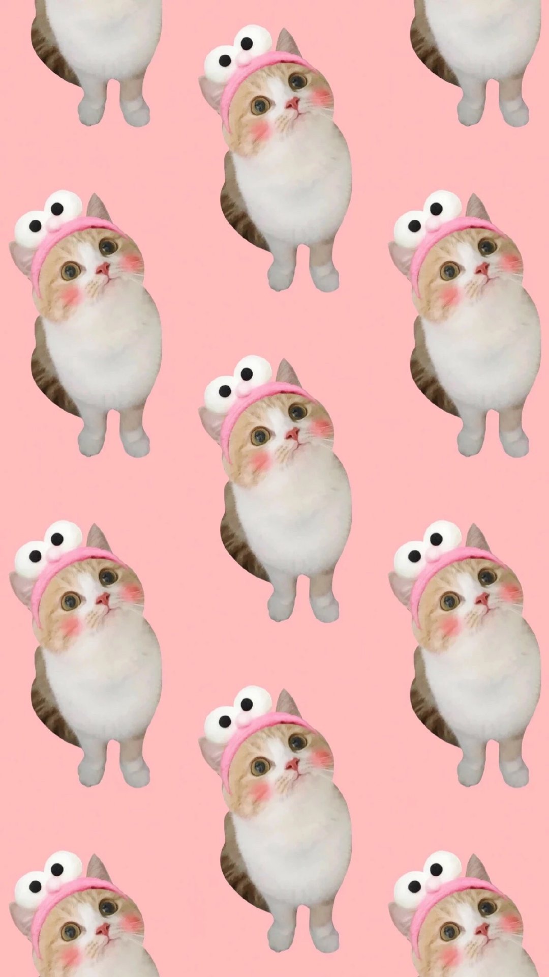 手机壁纸集留下你想要的图集,四季精美手机壁纸集锦