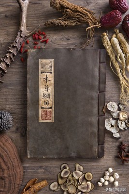 本草纲目别名录阅读,本草纲目名称大全及功效