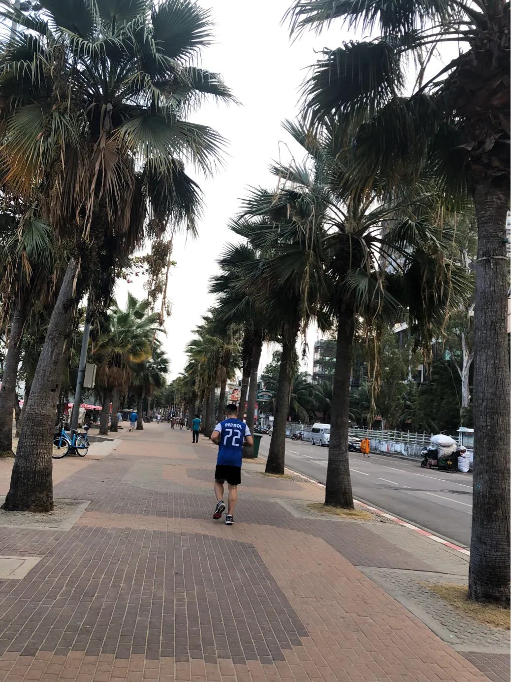 回忆泰国芭提雅,泰国芭提雅观感