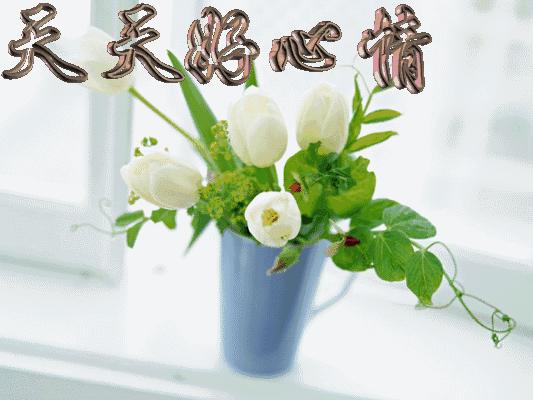 雨后天晴的优美散文,雨过天晴经典散文