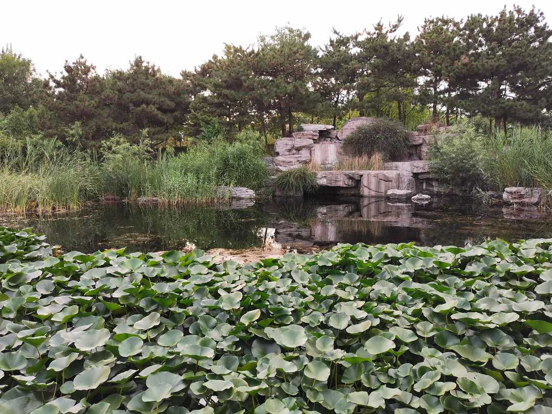 医学人文精神感悟,医学人文精神的表现