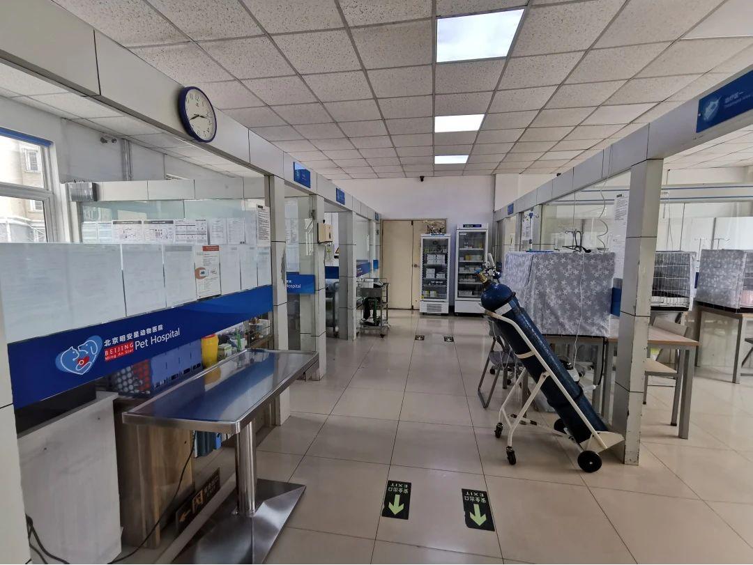 走进学者型院长的思维花园  专访明安星动物医院院长刘德