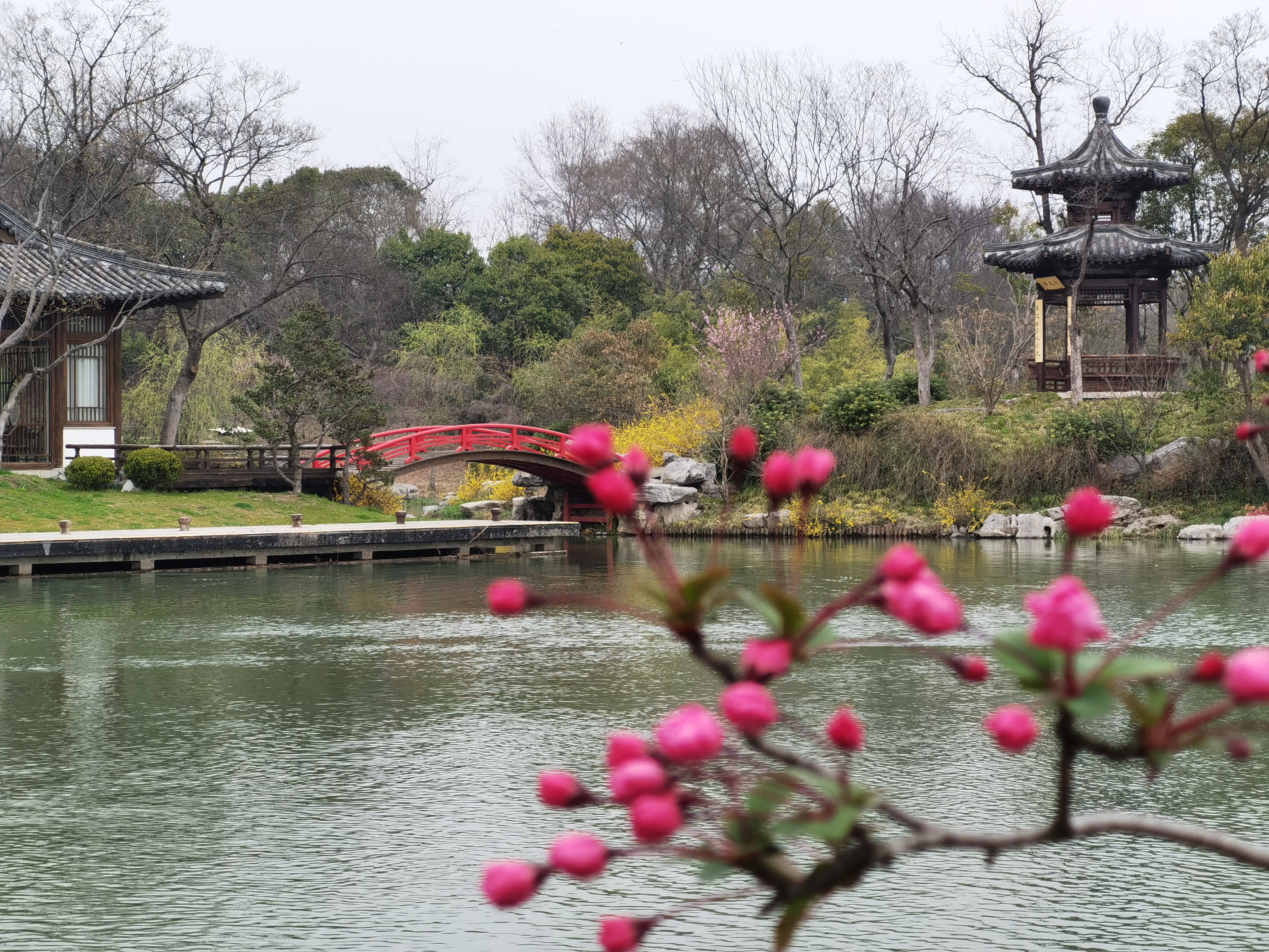 三月的瘦西湖到底有多美,瘦西湖景色到底有多美