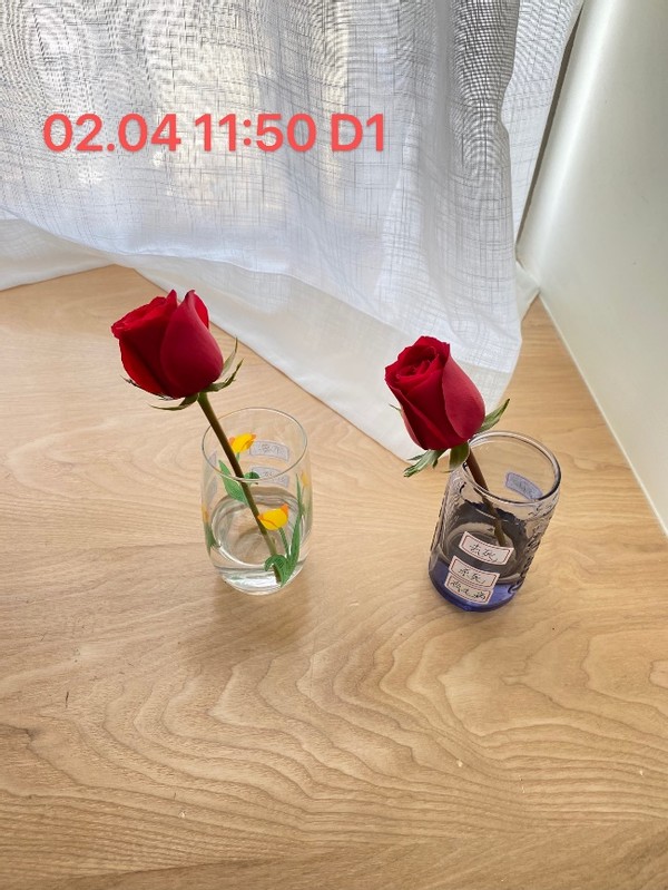 无形决定有形的说法,无形决定有形