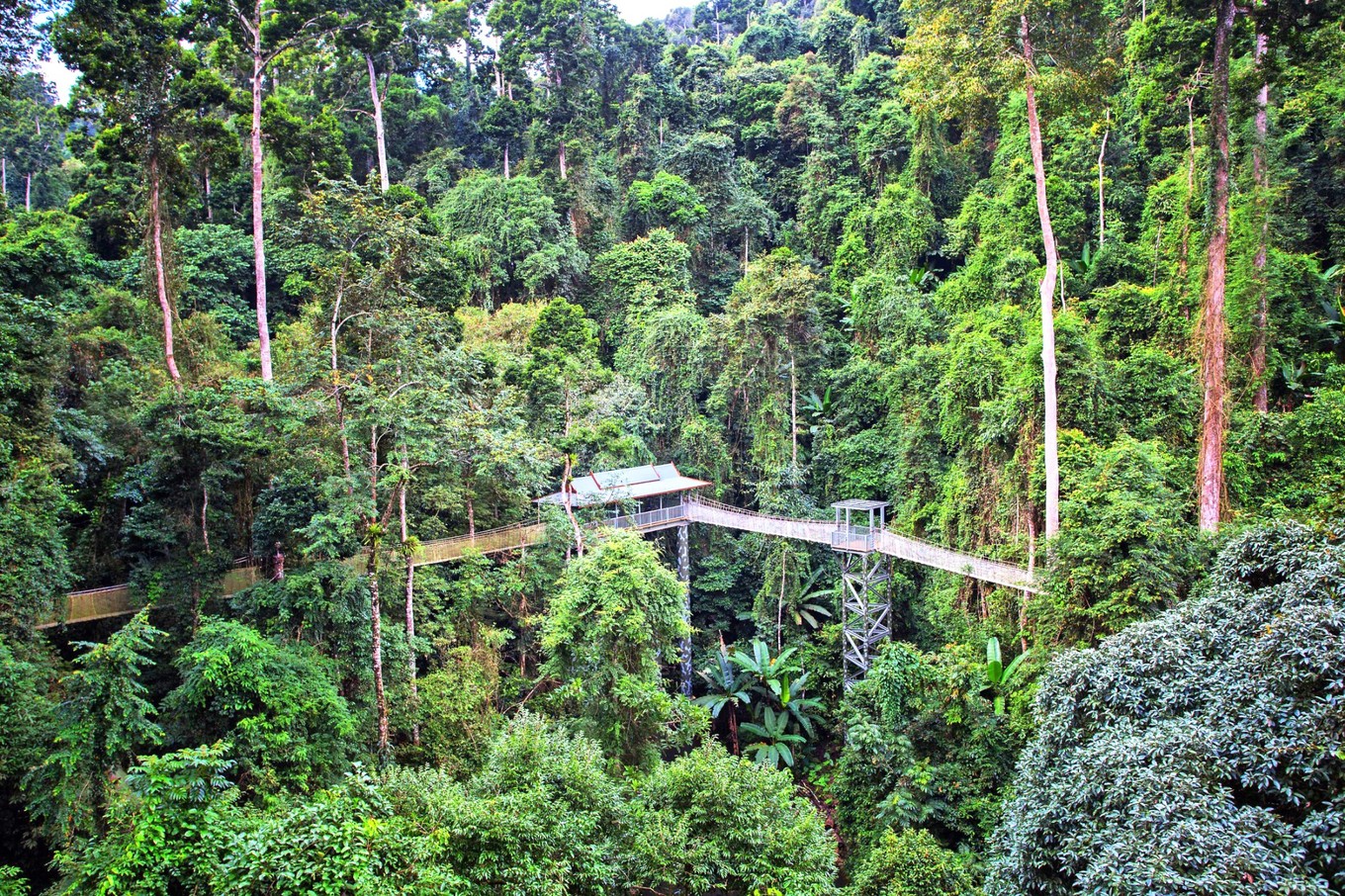 昆明西双版纳沿途的景点有哪些,昆明至西双版纳沿途旅游景点