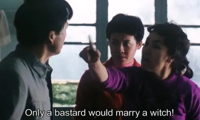 可惜没在中国上映的电影,李冰冰05年电影