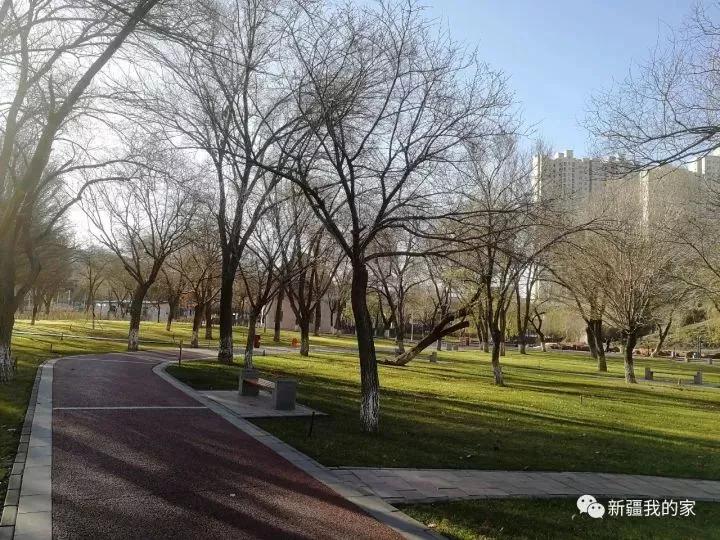南公园，一代乌鲁木齐人的青春与回忆！