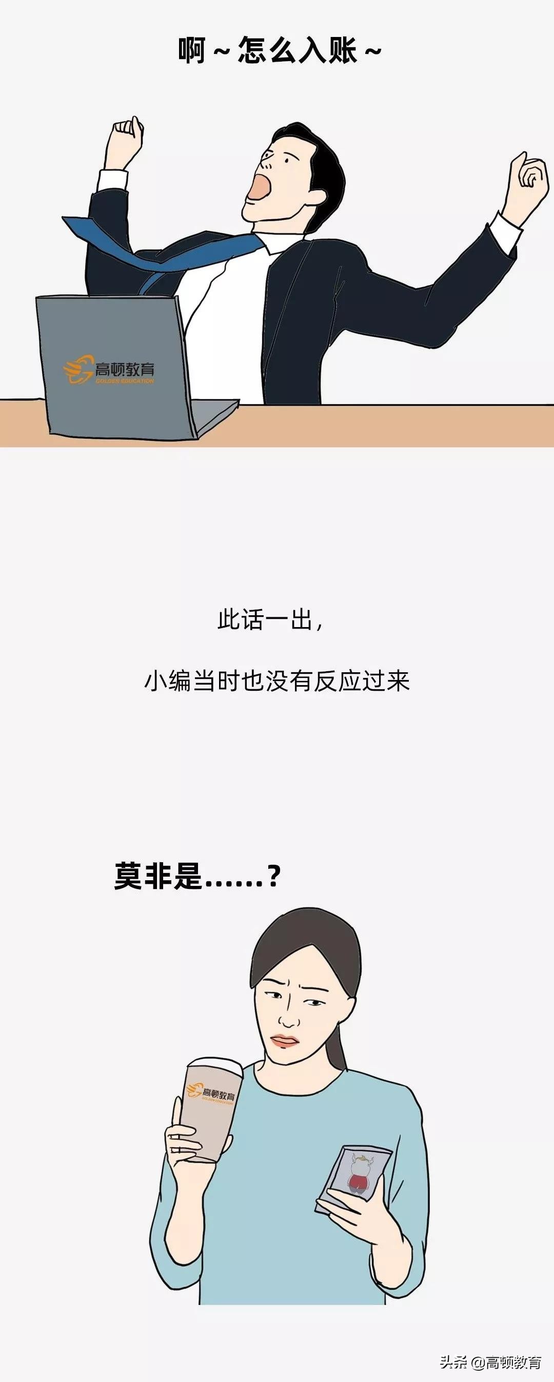 公司买个猫怎么处理,公司买的猫怎么入账