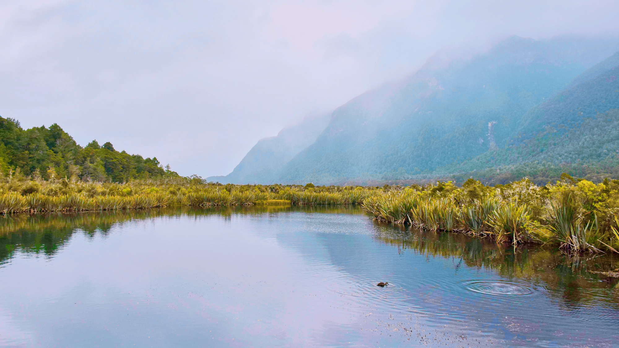 河床上布满翡翠的河，村民全天看守，拉动了当地经济