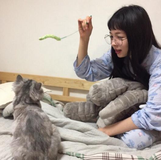 猫咪逗猫最好的方法,猫咪逗猫的正确方法