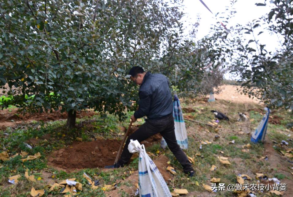 如何区分尿素氯化铵和硫酸铵,如何区分硝酸铵硫酸铵和尿素