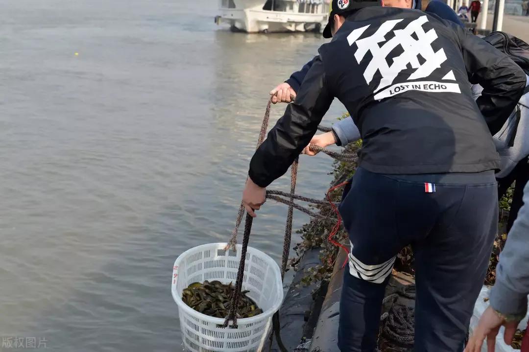 饱受争议的泥鳅钓鱼,为什么不准使用泥鳅钓法