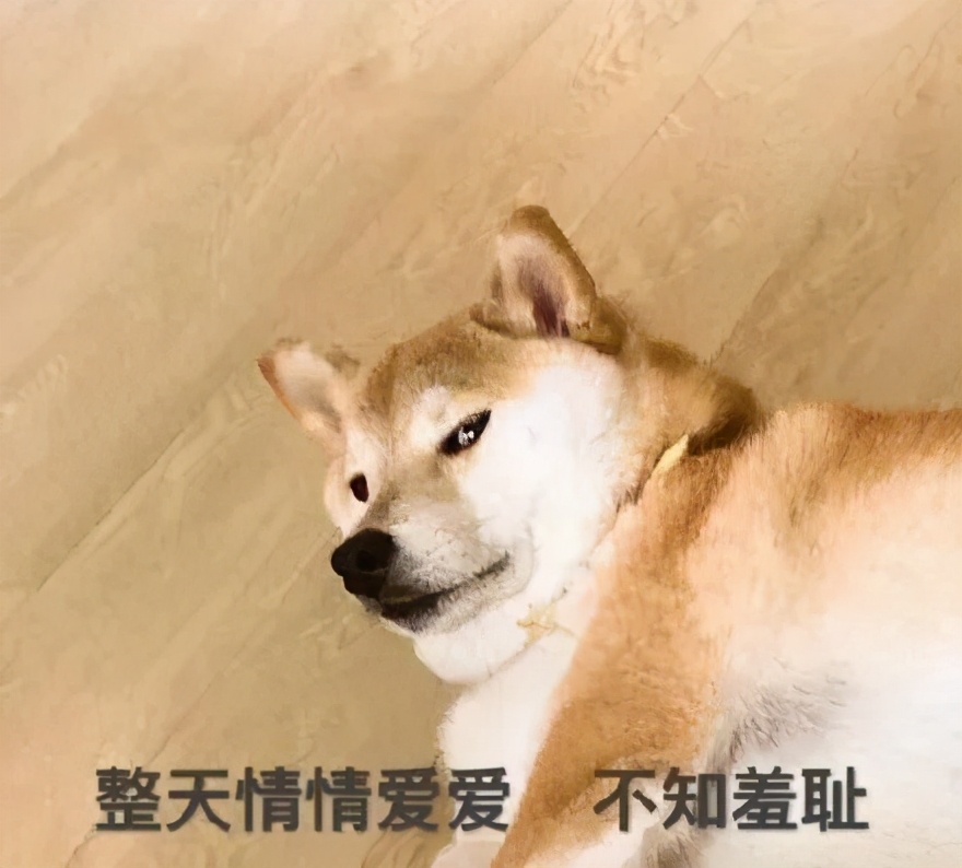 算了还是要上班系列表情包,一想到明天上班就想打个人表情包