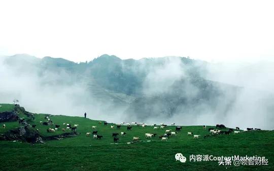 国货美妆品牌花西子,国货之光花西子