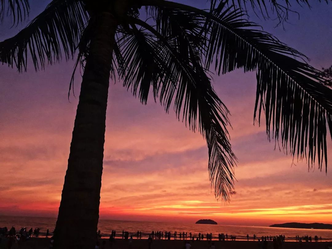 沙巴美食大起底亚庇美食一日游 (沙巴旅游攻略小吃夜市)