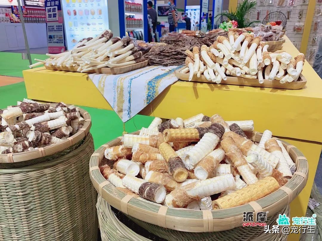 2020CIPS宠物展于广州开展，一大波萌物正在靠近