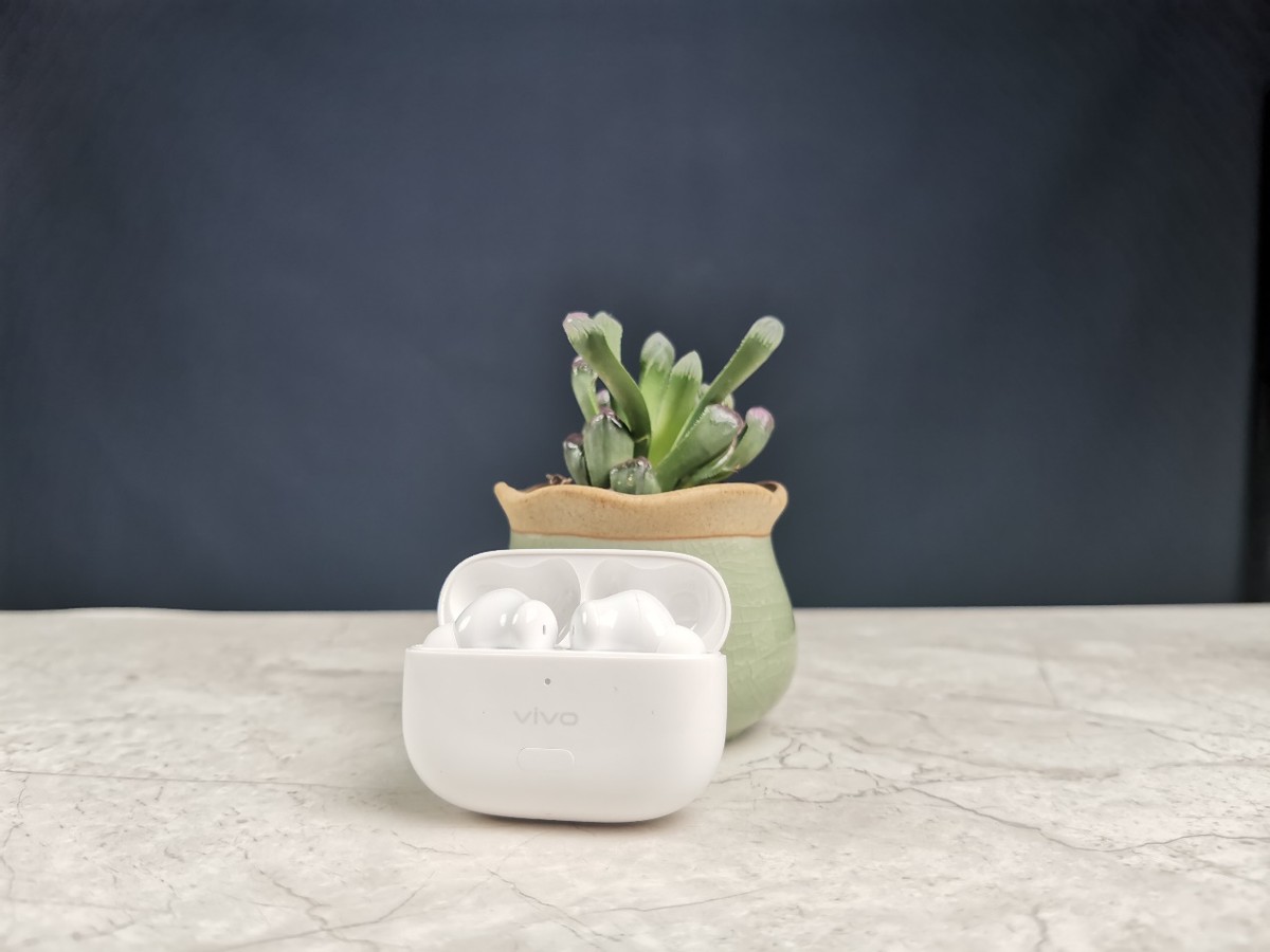 vivotws2全面评测,vivotws2真实测评