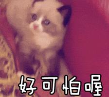 英国留学生退税,警惕外贸骗局大曝光