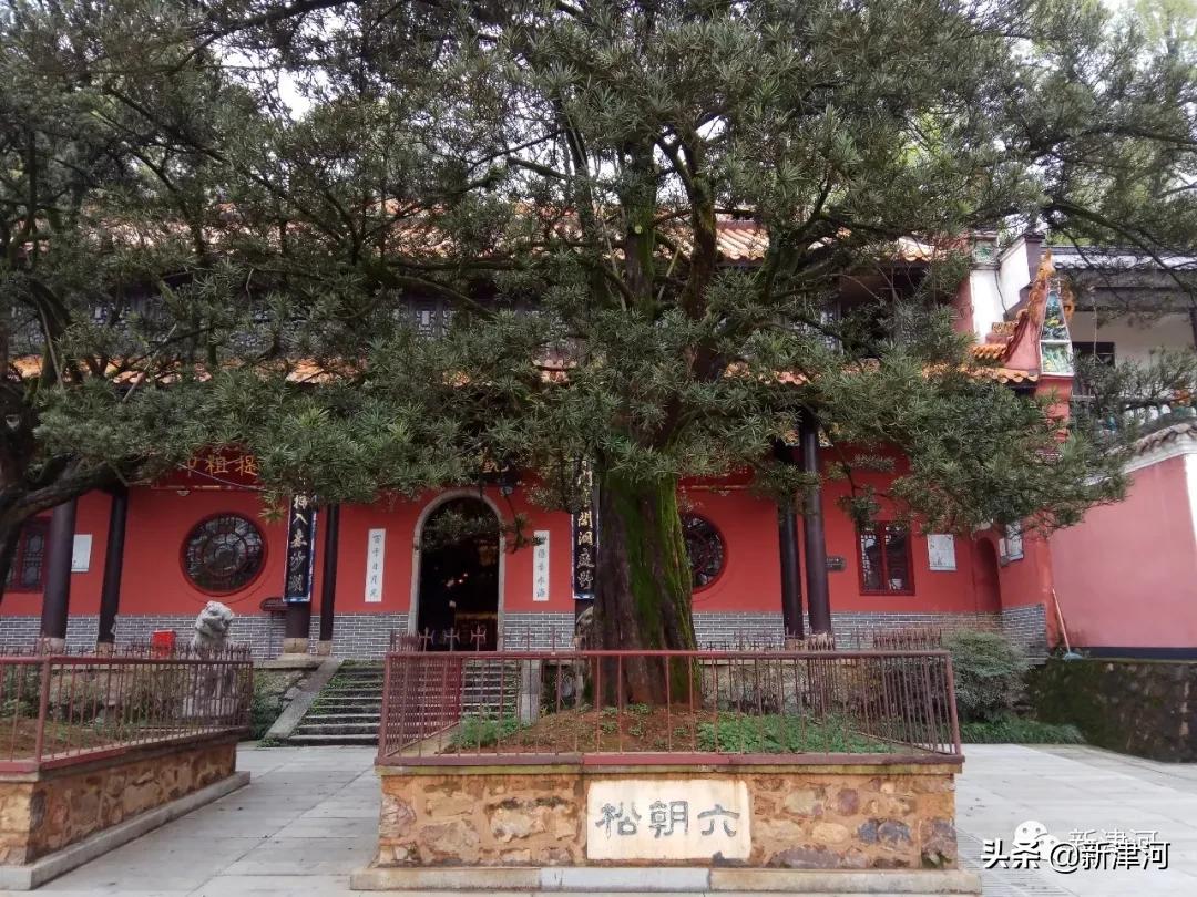 一个人的远方,一个人的远方太原站