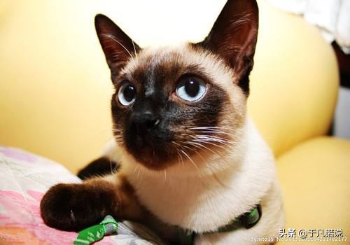 为什么总有些人那么痛恨医生