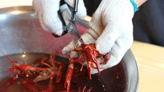 松哥油焖大虾南城榕树下店,松哥油焖大虾多少家店