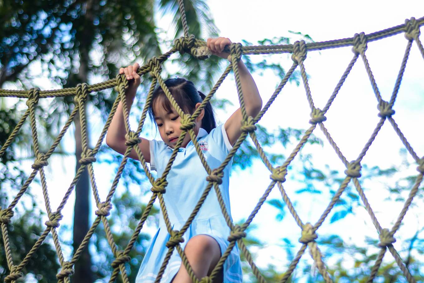 你在南方瑟瑟发抖，我在这里遛娃、看猴、赶海····