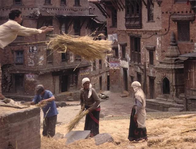 尼泊尔肾谷在哪里,尼泊尔靠肾发财是真的吗